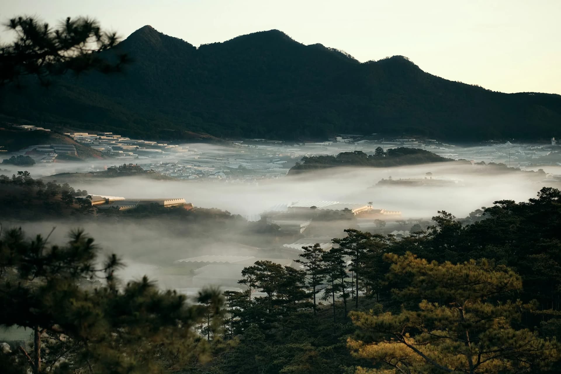 Misty valley in the Lam Dong highlands near Dalat, Vietnam