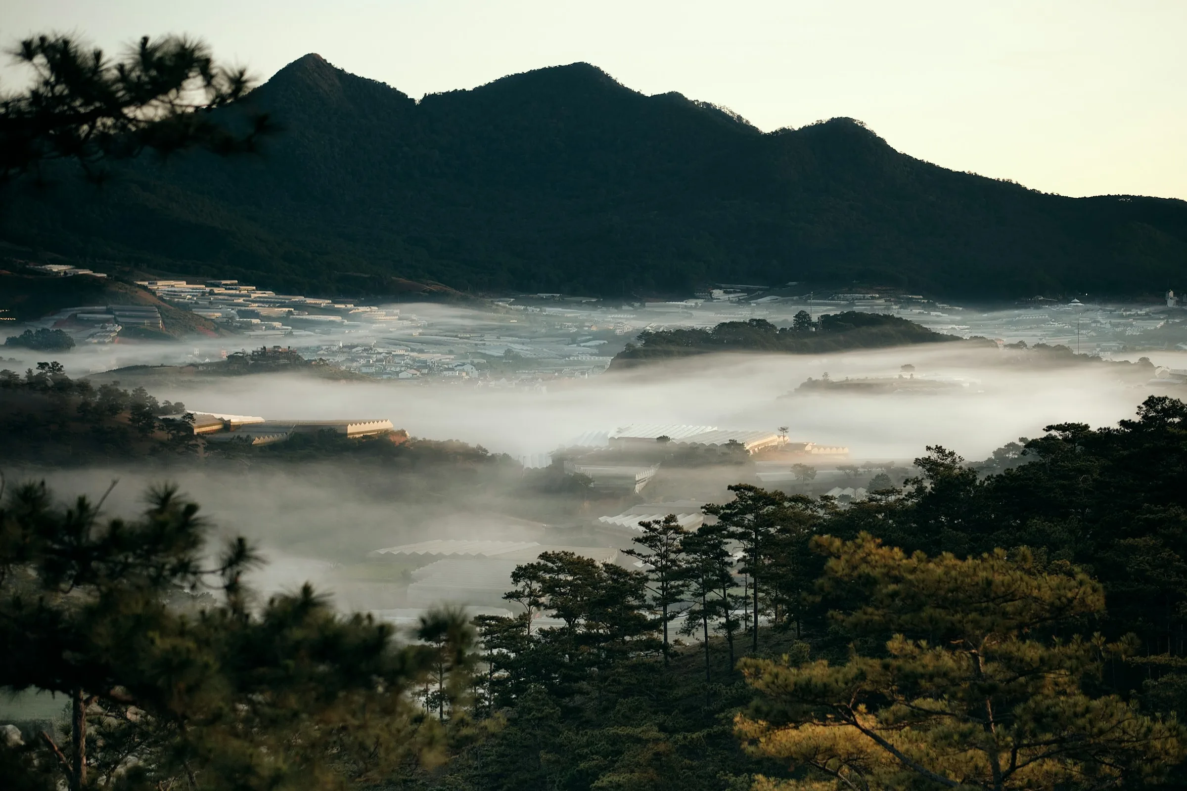 Misty valley in the Lam Dong highlands near Dalat, Vietnam