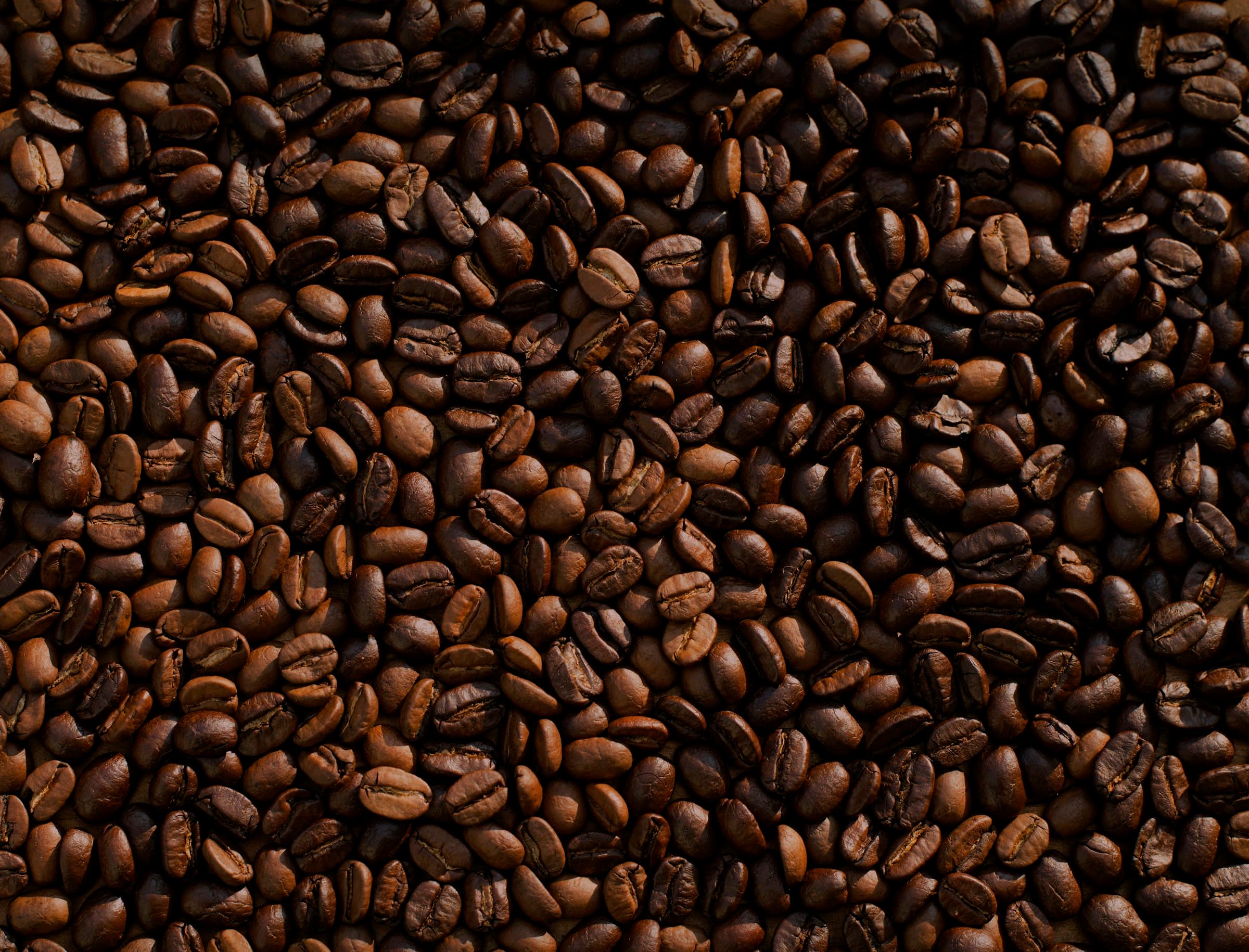 Freshly roasted coffee beans